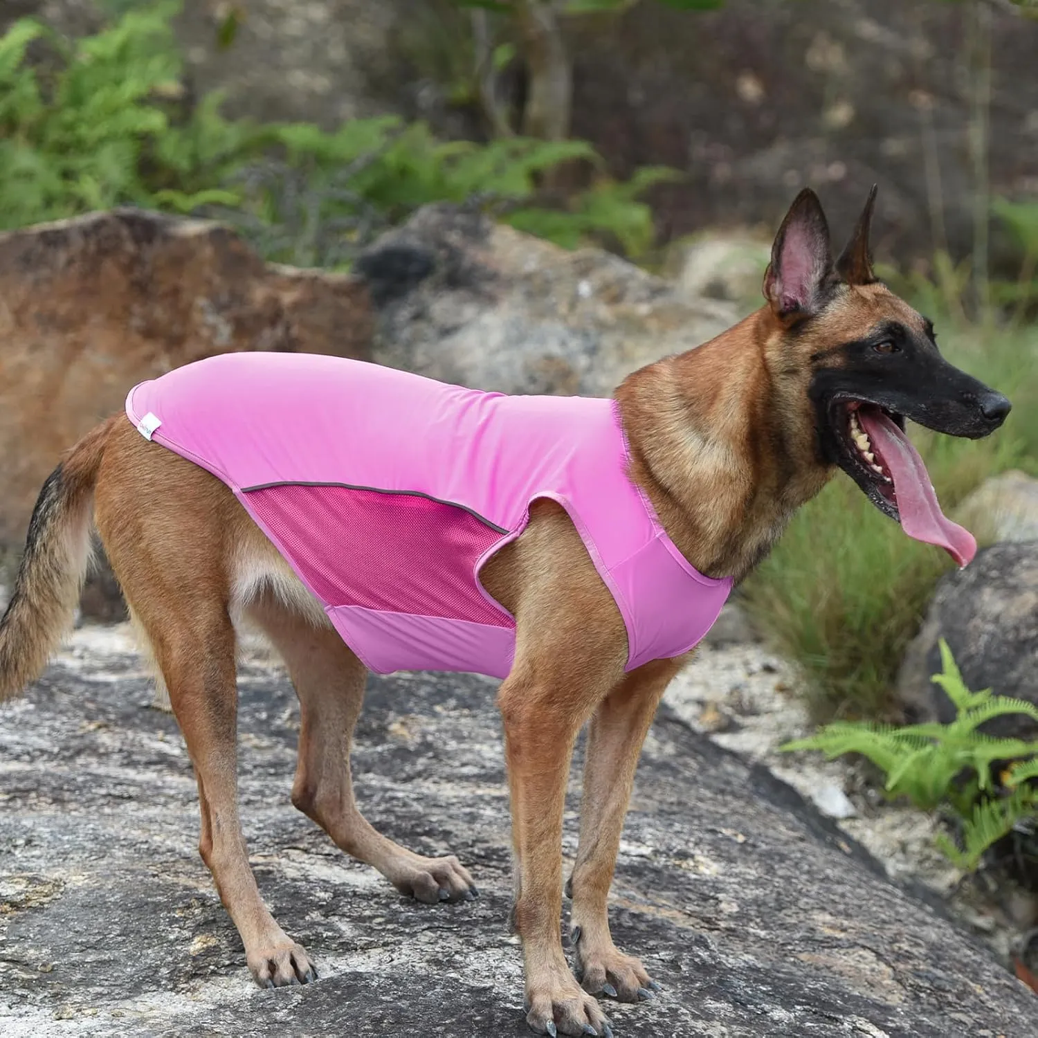2 Pack UPF 50  Sun Protection Sports Fan Pet T-Shirts, Quick-Dry Soft Clothes for Large Dogs, Tshirts With Reflective Strip Sleeveless Vest Pet Apparel P23ST00504XXXL