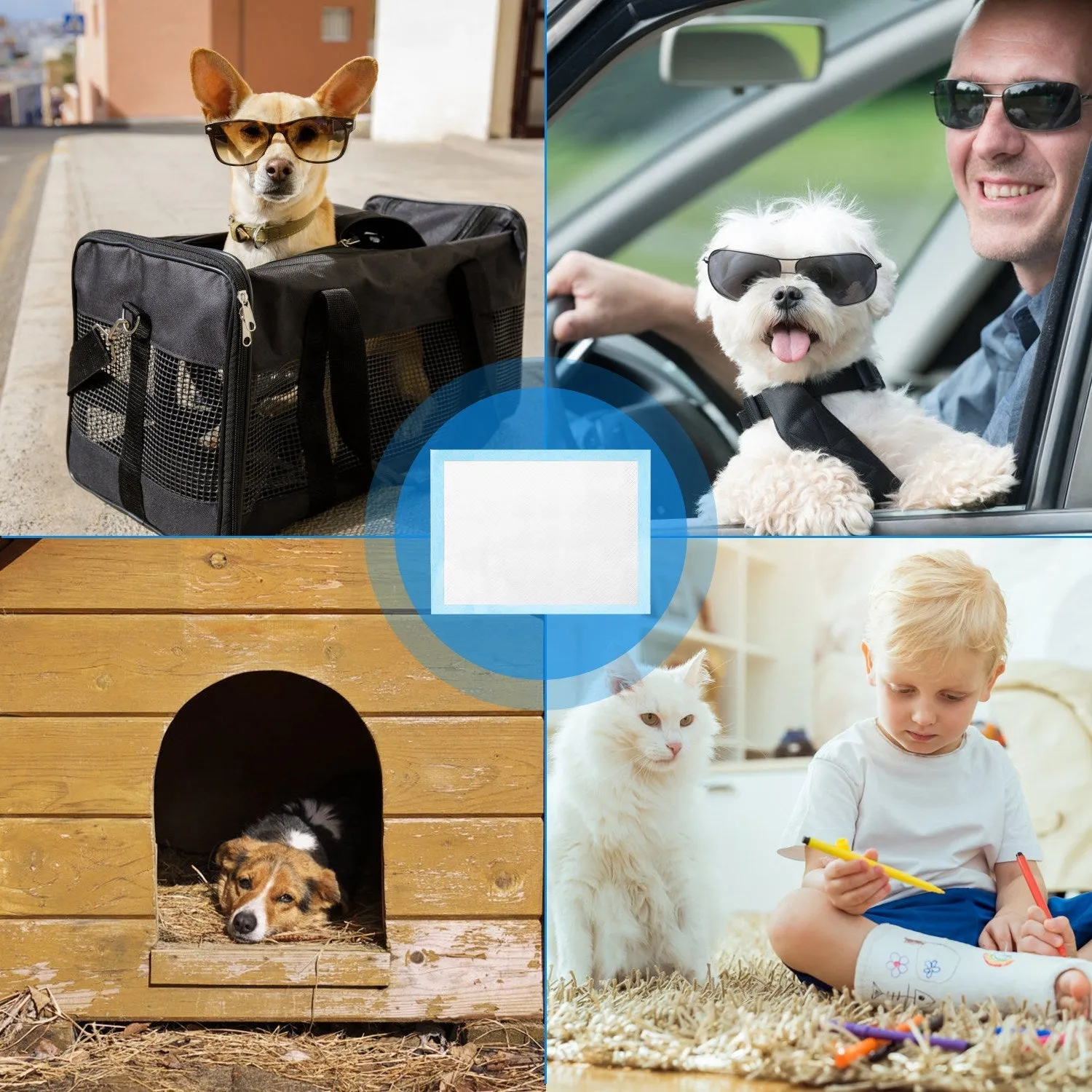50-Piece: Dog Training Pads