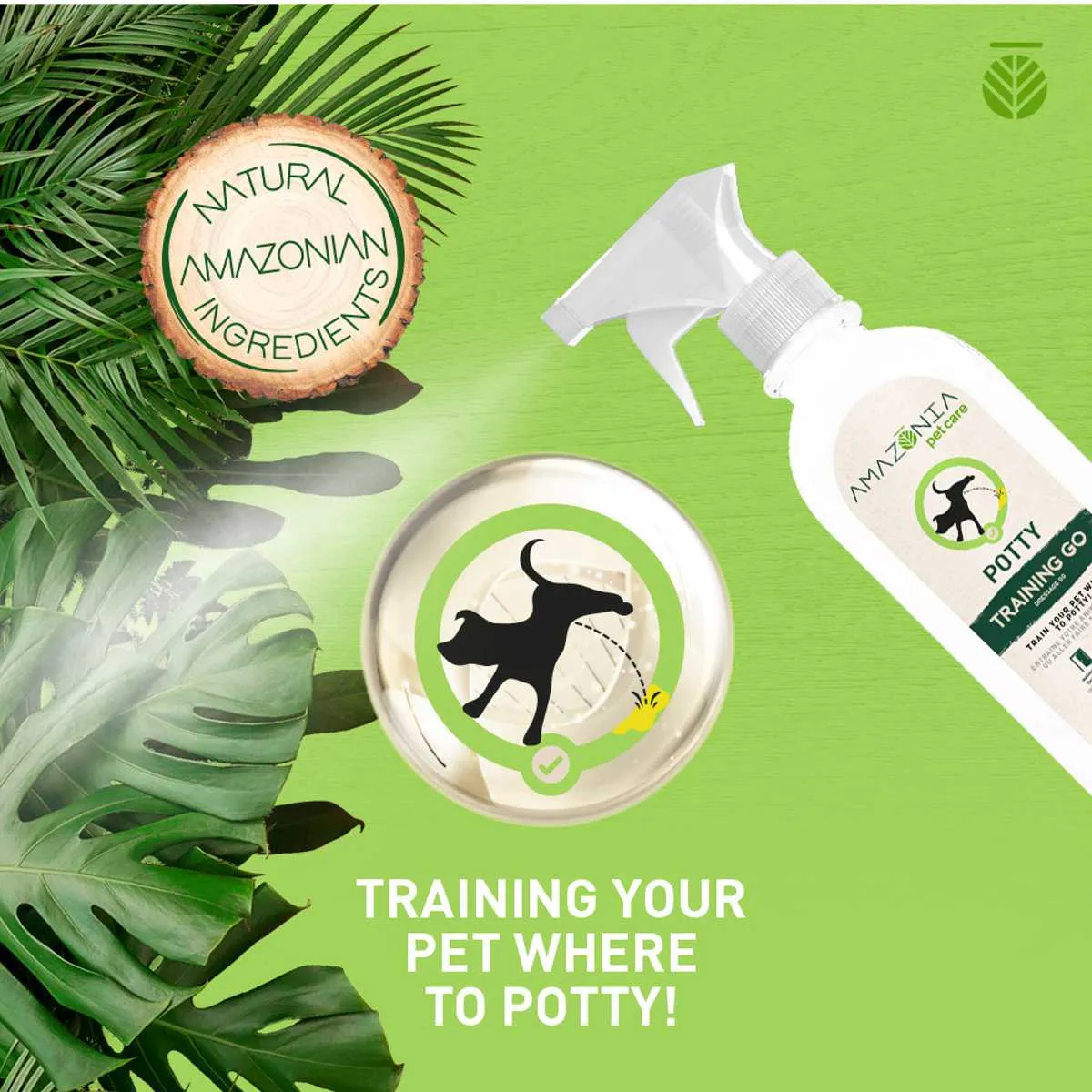 Amazonia Potty Training Go