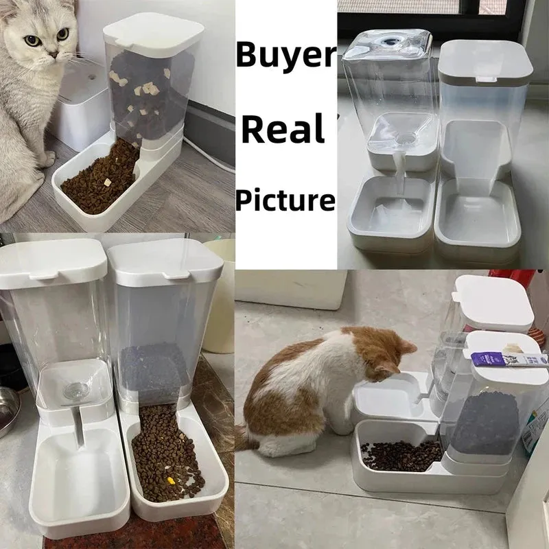 Automatic Dog & Cat Feeder with Water Dispenser