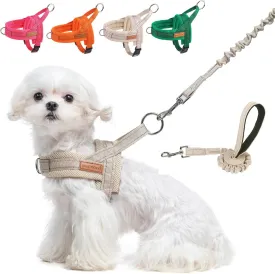 BEAUTYZOO Dog Harness for Small Dogs, No Pull Dog Harness and Leash Set, Escape Proof Puppy Vest Harness with Handle, Reflective Breathable Mesh Padded Harness for Girl Boy Dogs, Beige XXS