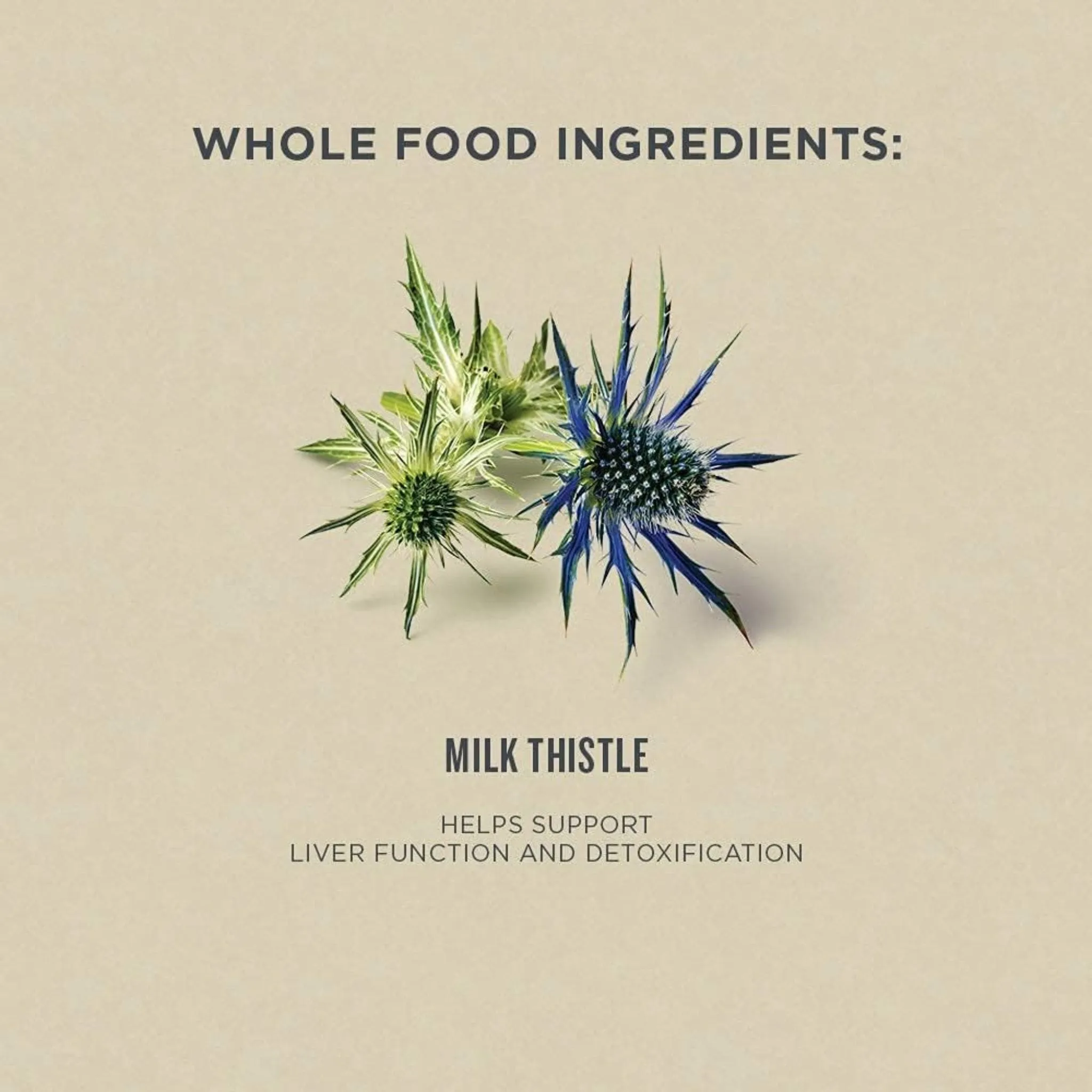 Botanica Milk Thistle Liquid Herb