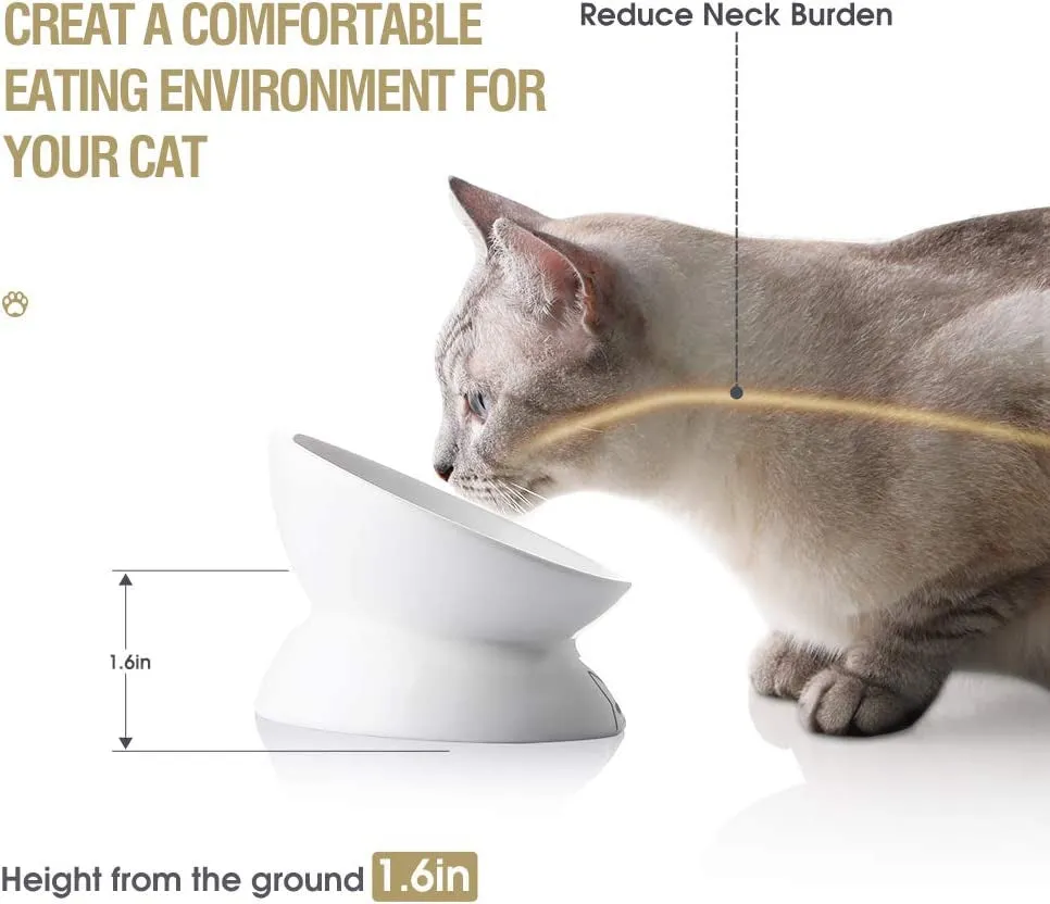 Ceramic Raised Cat Bowls