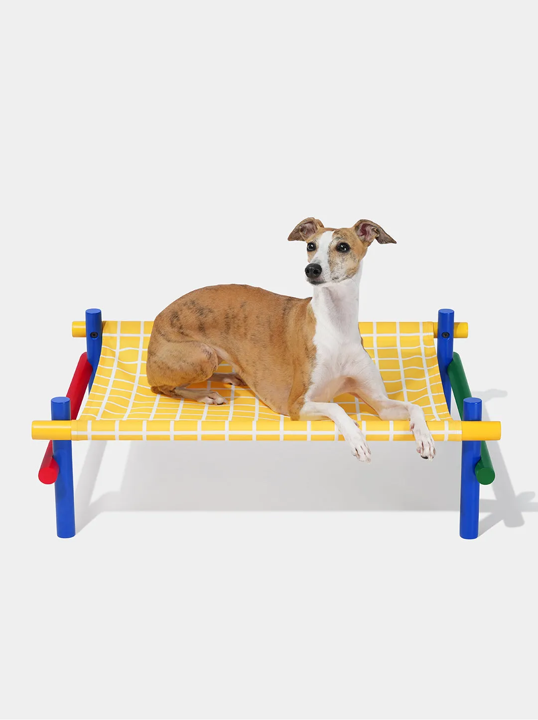 Chroma Pet Bed (Yellow)