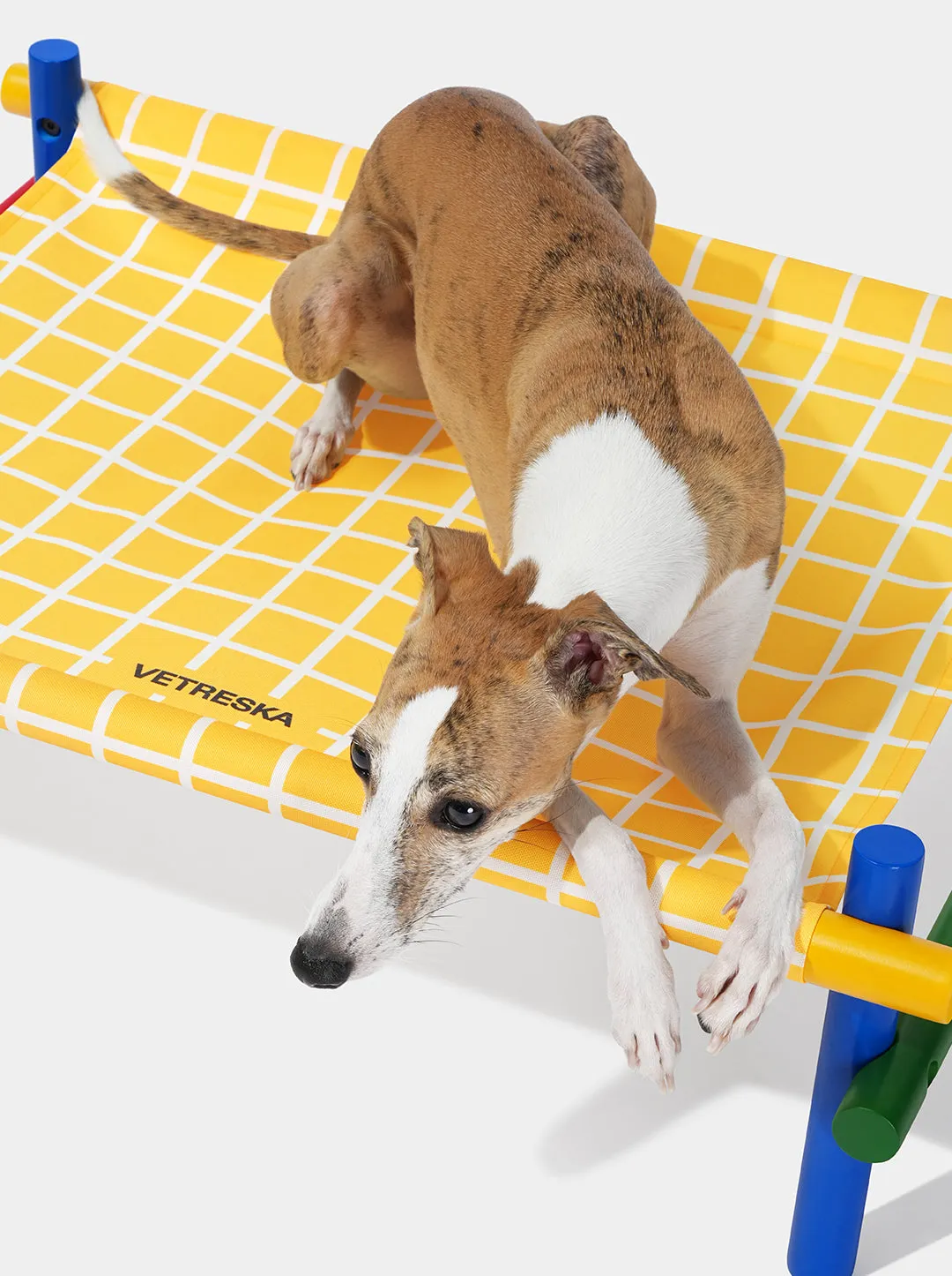 Chroma Pet Bed (Yellow)