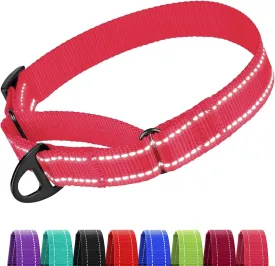 CollarDirect Reflective Martingale Dog Collar Nylon Heavy Duty Training Pet Collars for Small Medium Large Dogs Puppy Black Blue Lime Mint Green Red Pink Purple Red (L, Neck Size 16"-24", Pink)