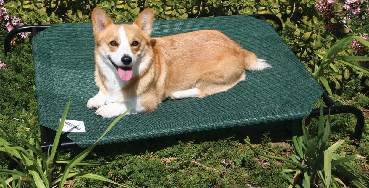 Coolaroo Pet Bed