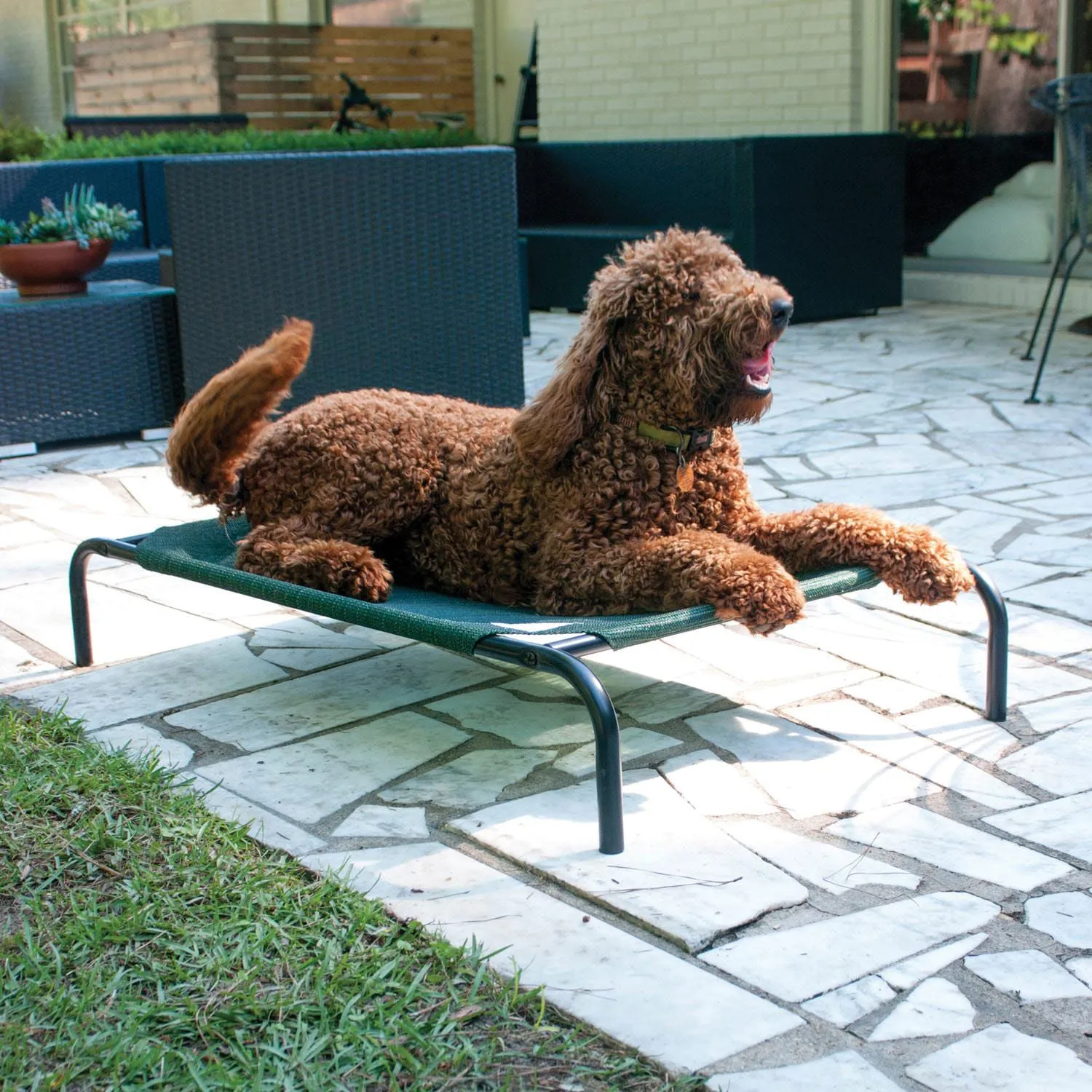 Coolaroo Pet Bed