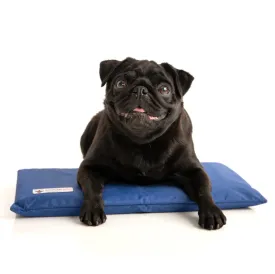 CoolerDog Mini Hydro Cooling Mat