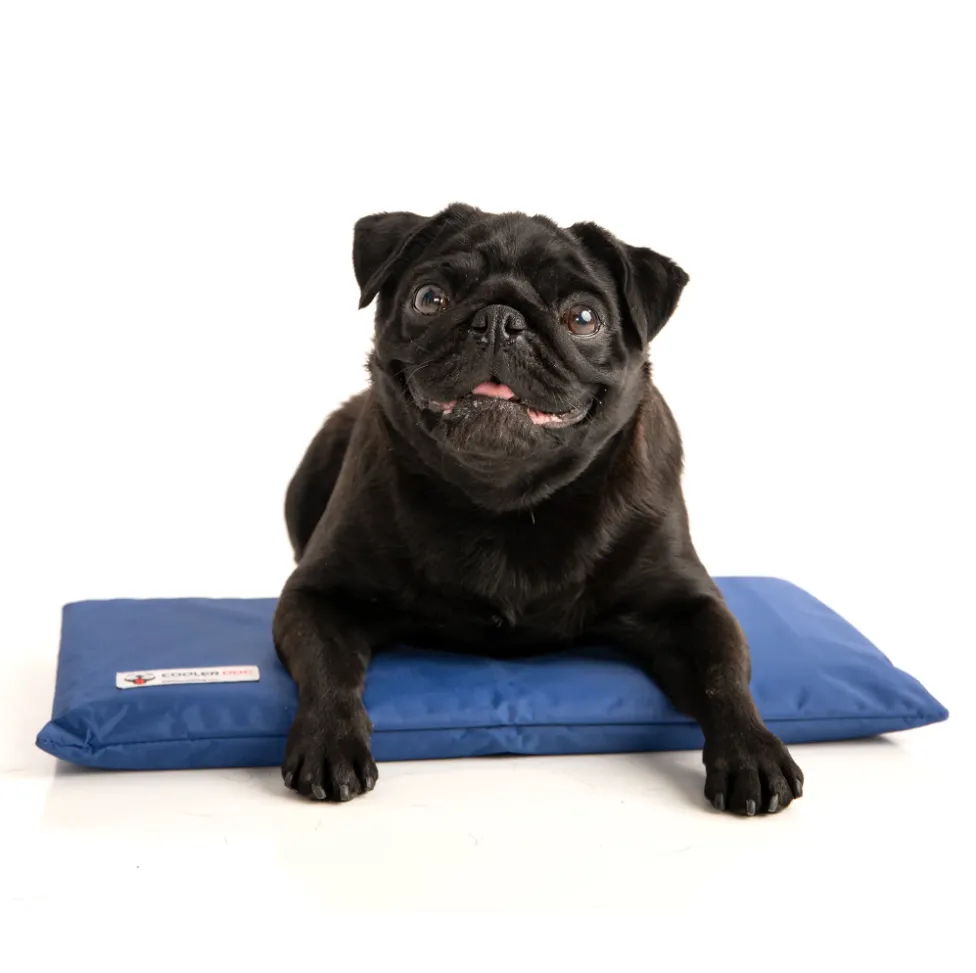 CoolerDog Mini Hydro Cooling Mat