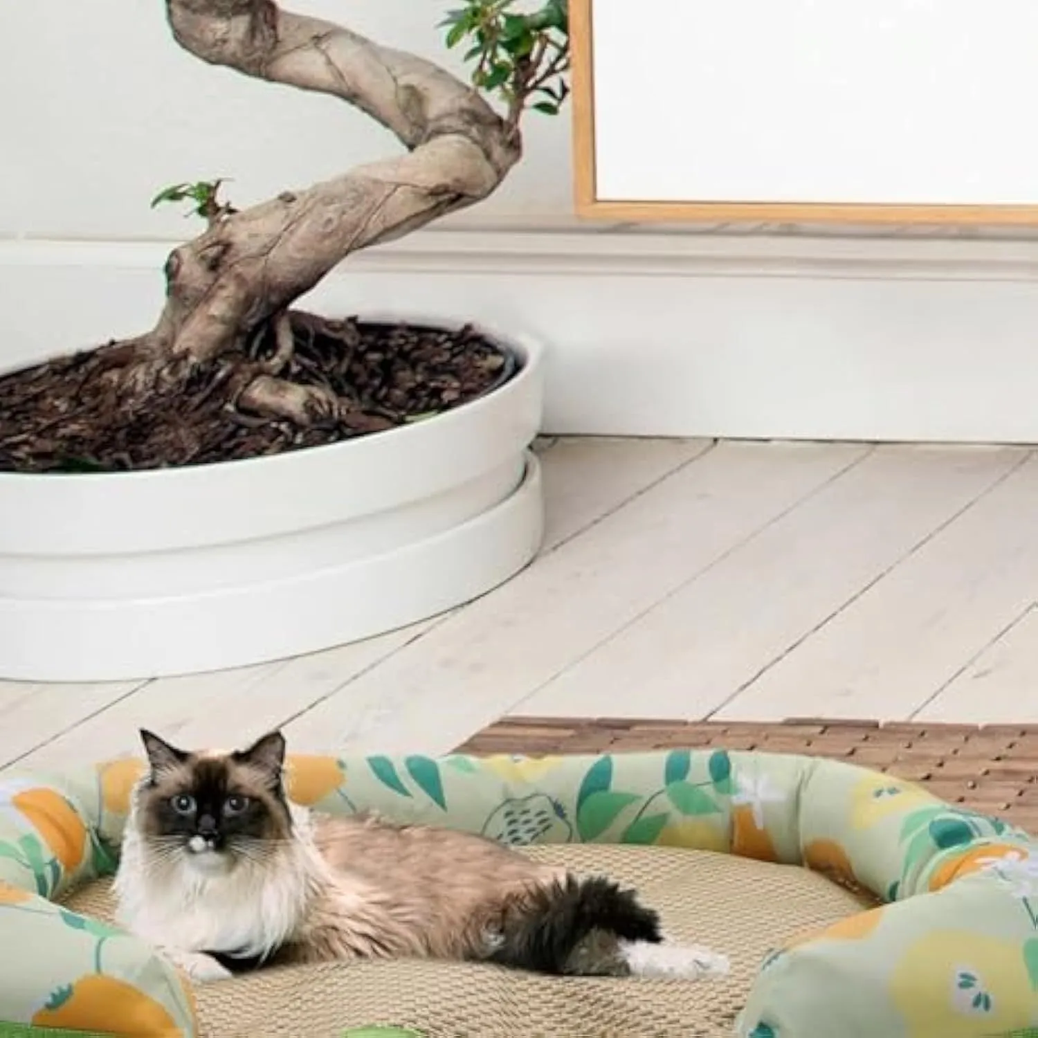 Cooling Mat For Pets Sleeping Mat For Dogs And Cats