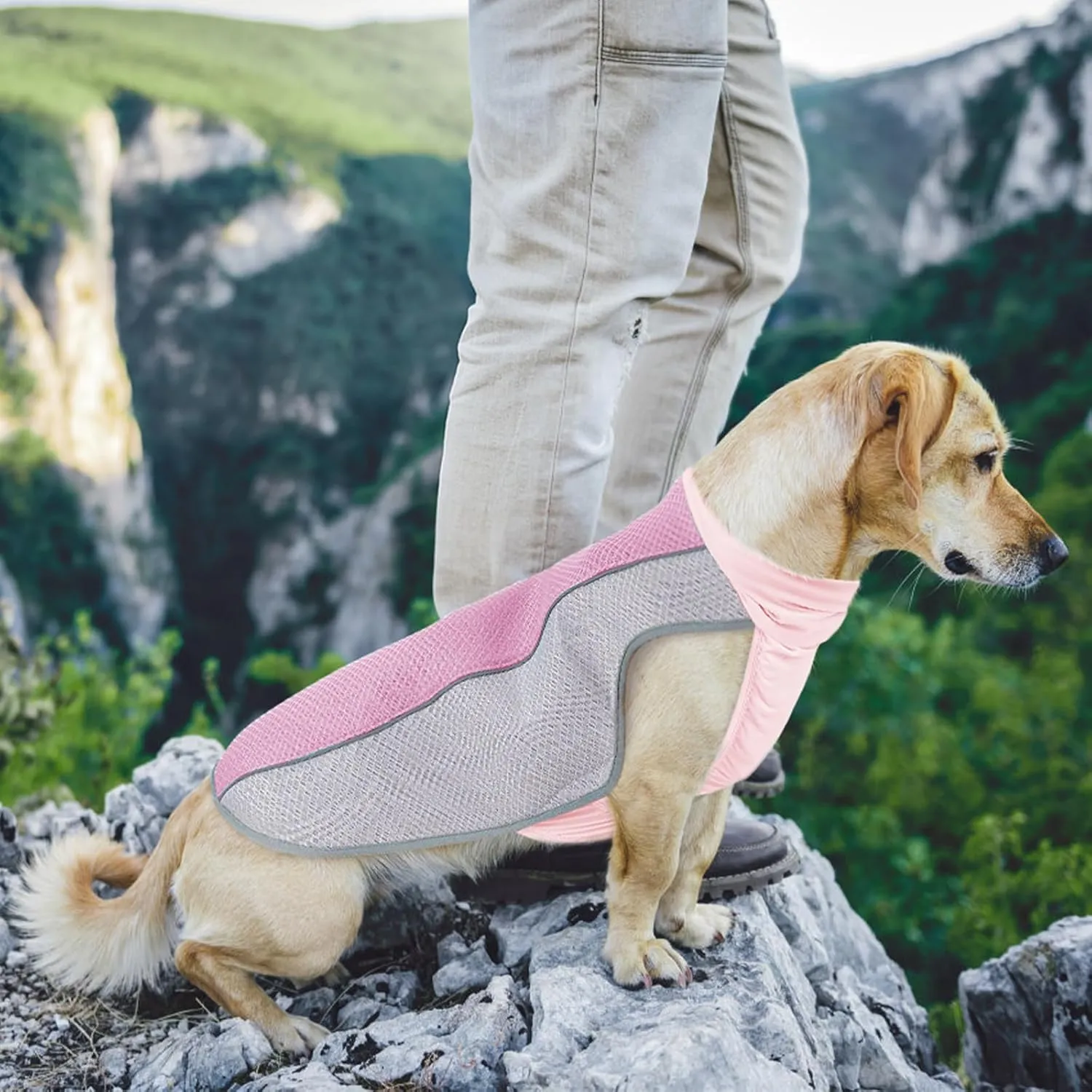 Dog Cooling Vest for Summer, Breathable Mesh Cooling Shirt Jacket for Dogs Summer Heat Relief, Lightweight Cooling Dog Harness Pet Cooler Suit for Outdoor Hiking Walking Hot Weather(Pink S)
