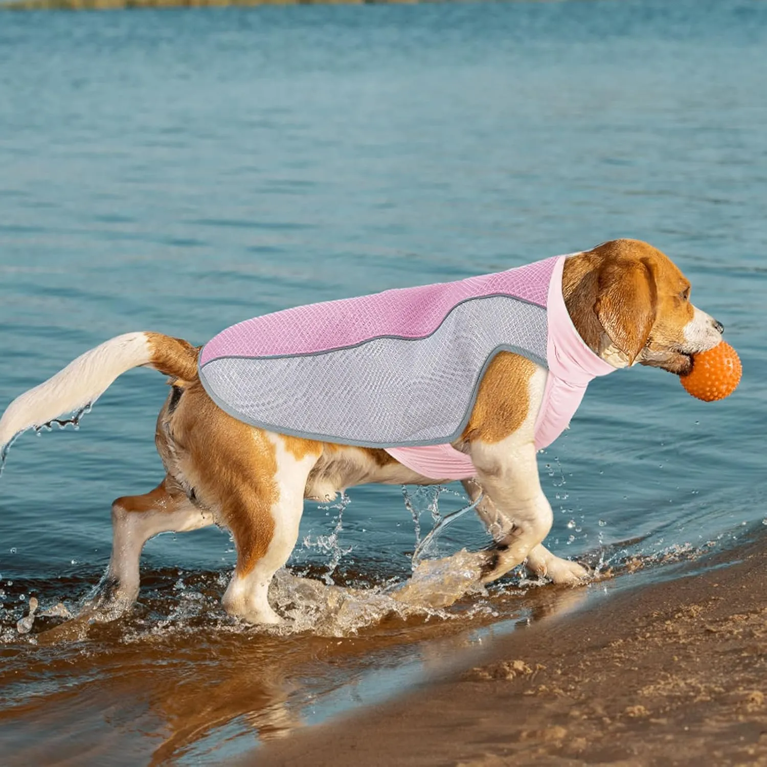 Dog Cooling Vest for Summer, Breathable Mesh Cooling Shirt Jacket for Dogs Summer Heat Relief, Lightweight Cooling Dog Harness Pet Cooler Suit for Outdoor Hiking Walking Hot Weather(Pink S)