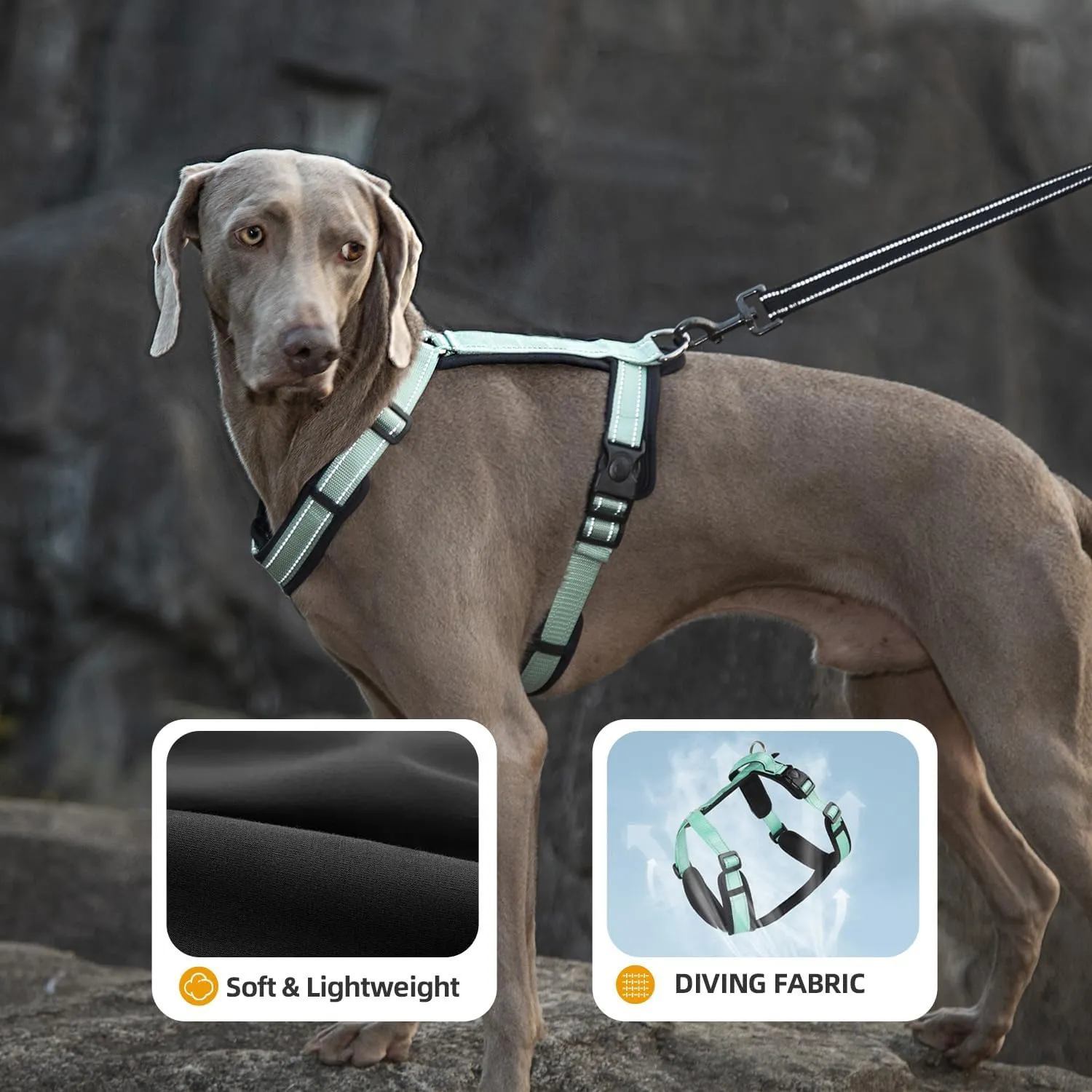 Dog Harness with Security Lock Buckle for Small Medium Large Dogs, Adjustable Dog Cooling Vest, Reflective No Pull No Choke Harness for Trail Running, Walking, Hiking, Camping