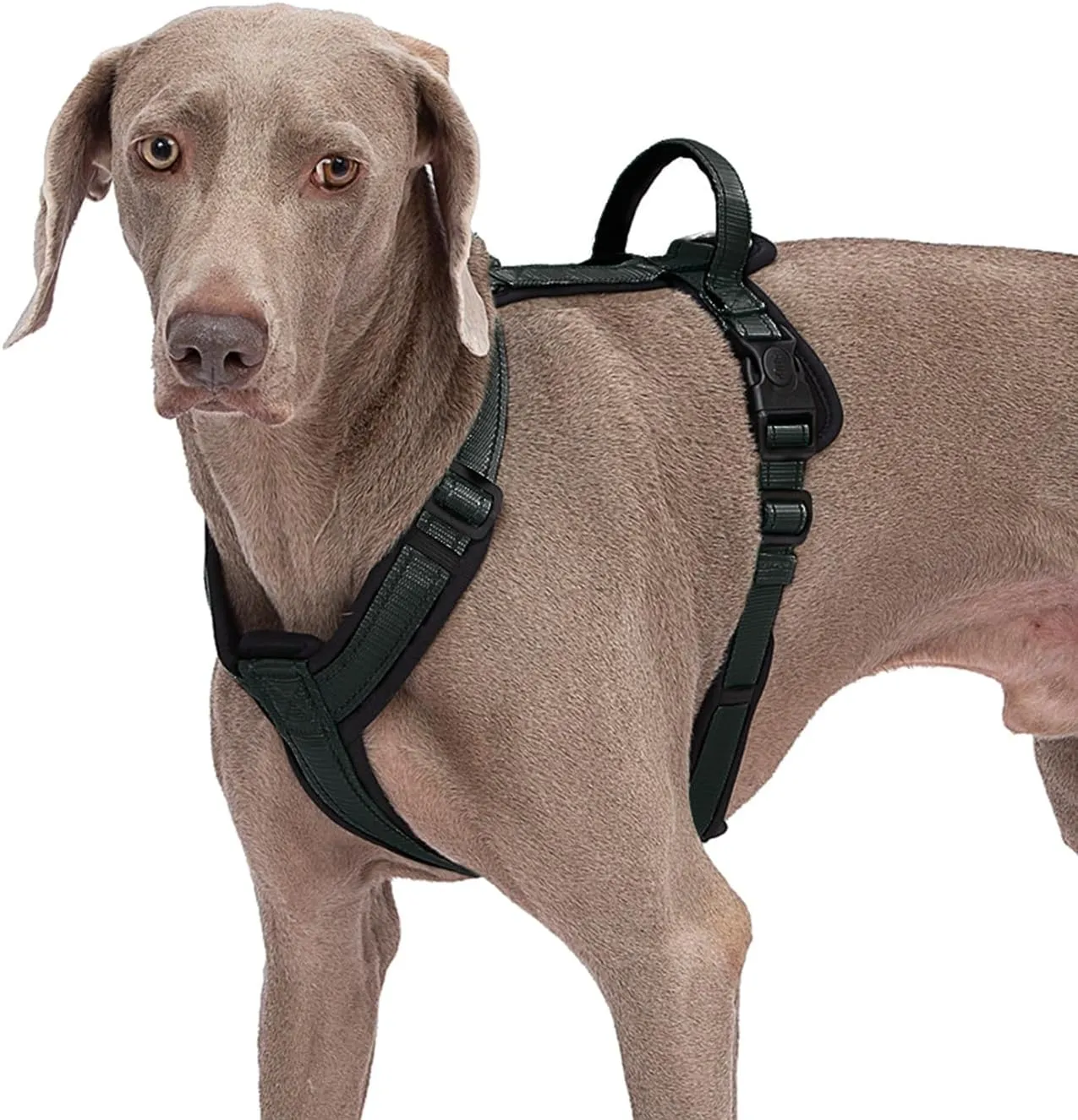 Dog Harness with Security Lock Buckle for Small Medium Large Dogs, Adjustable Dog Cooling Vest, Reflective No Pull No Choke Harness for Trail Running, Walking, Hiking, Camping