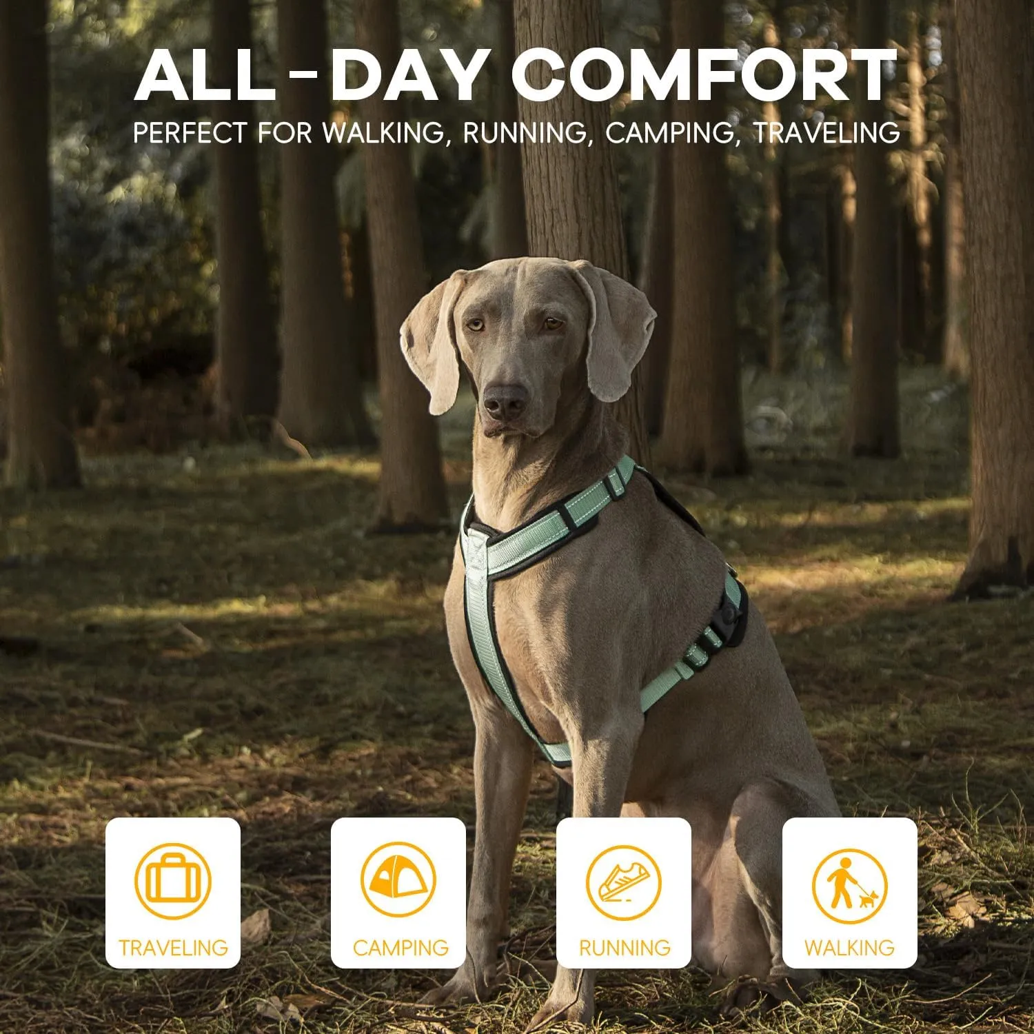 Dog Harness with Security Lock Buckle for Small Medium Large Dogs, Adjustable Dog Cooling Vest, Reflective No Pull No Choke Harness for Trail Running, Walking, Hiking, Camping