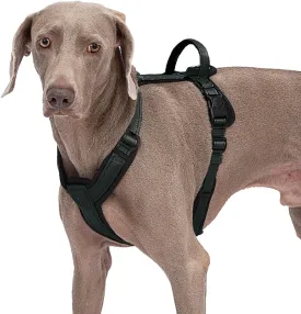 Dog Harness with Security Lock Buckle for Small Medium Large Dogs, Adjustable Dog Cooling Vest, Reflective No Pull No Choke Harness for Trail Running, Walking, Hiking, Camping