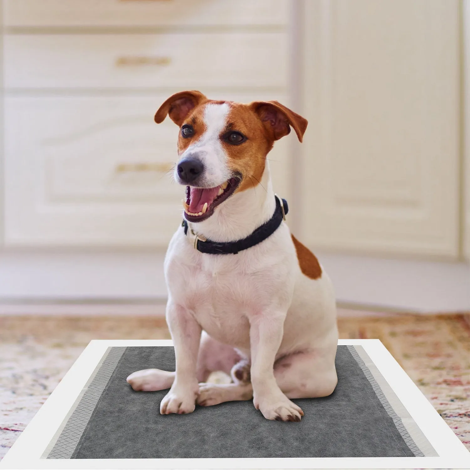 Dog Pee Training Pads Super Absorbent