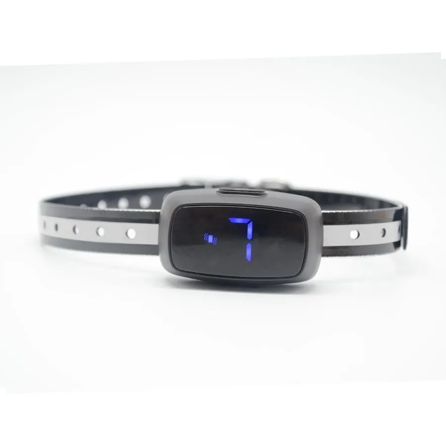 Dog Training Collar Shock or No Shock color BLACK
