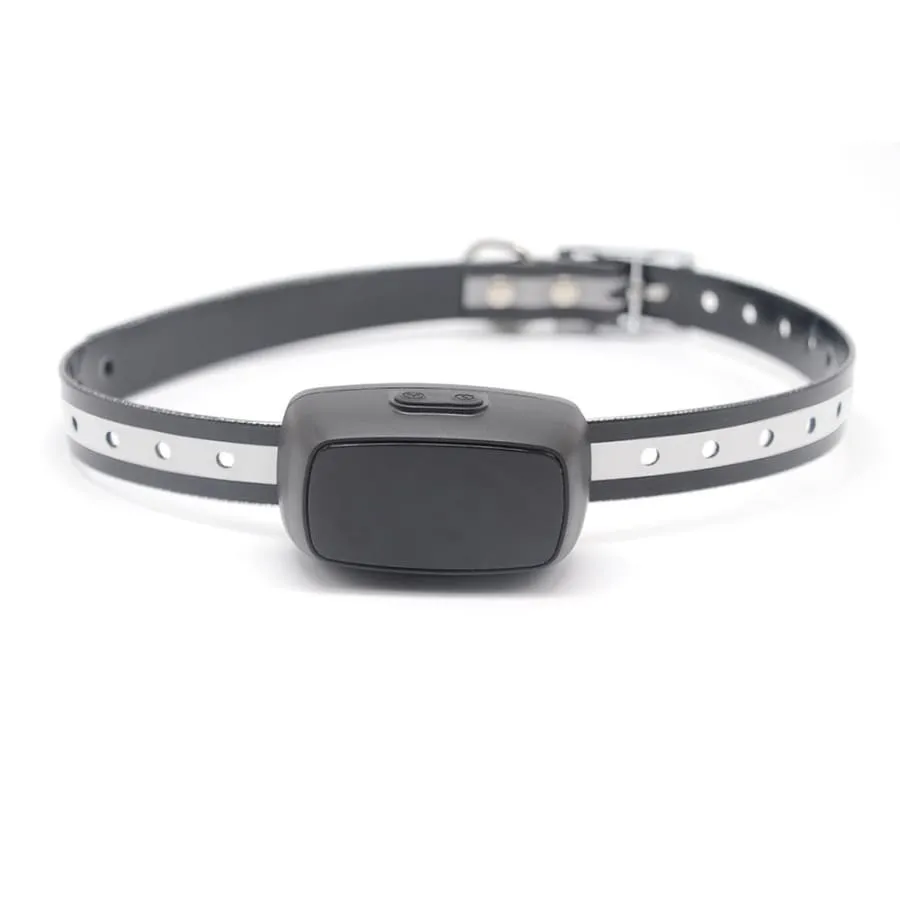 Dog Training Collar Shock or No Shock color BLACK