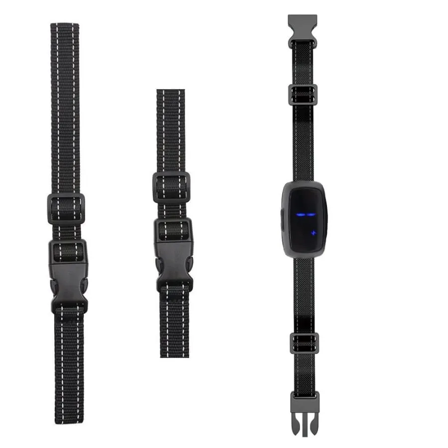 Dog Training Collar Shock or No Shock color BLACK