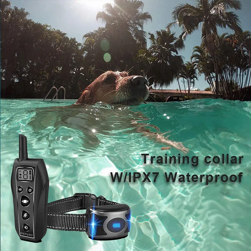 Dog Training Collar
