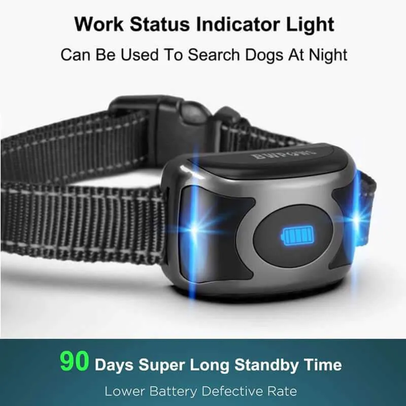 Dog Training Collar