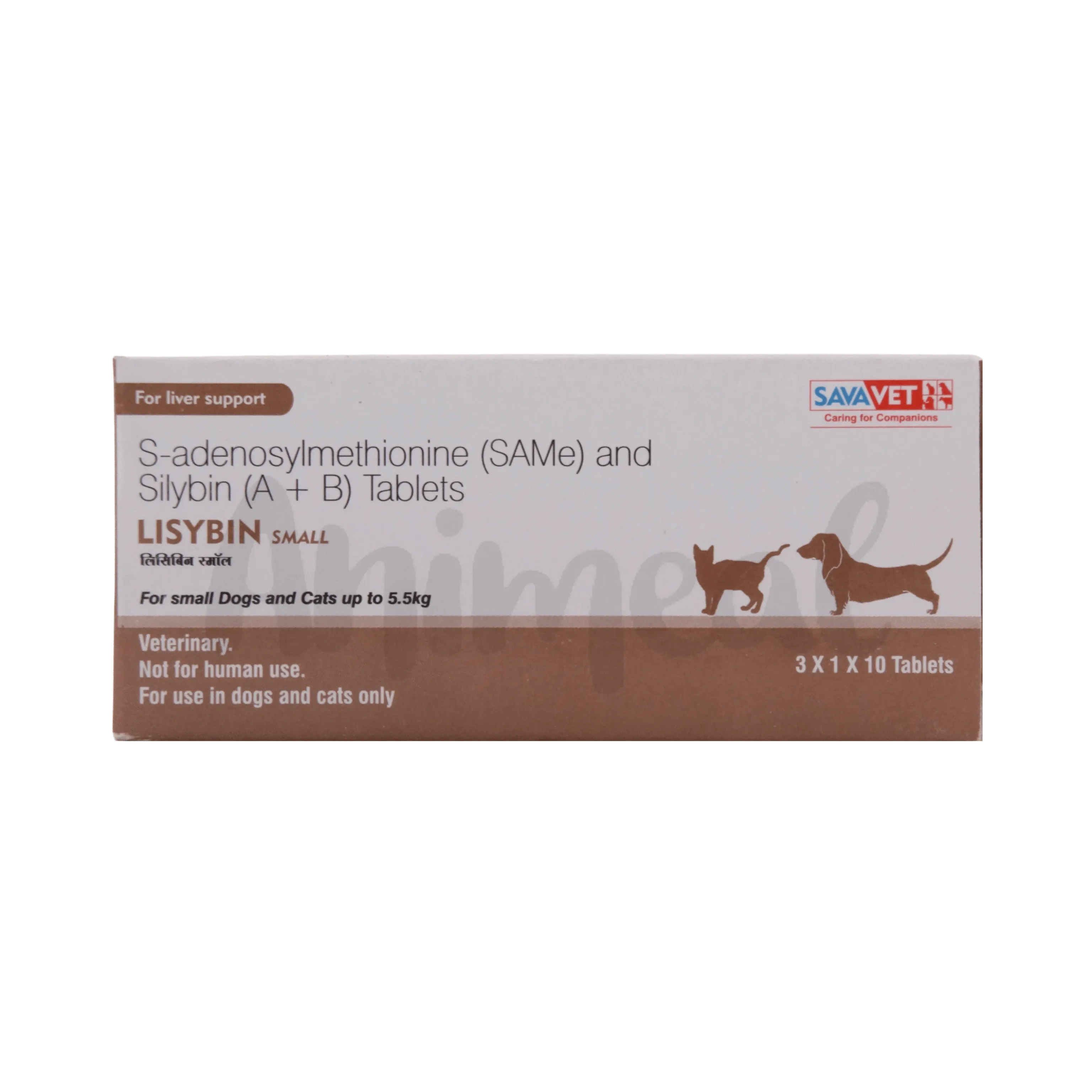 LISYBIN SMALL TABLET