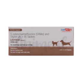 LISYBIN SMALL TABLET