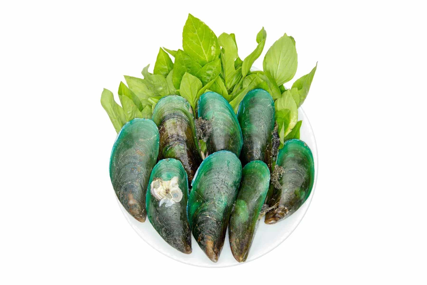 Livstrong Green Lipped Mussel 150g