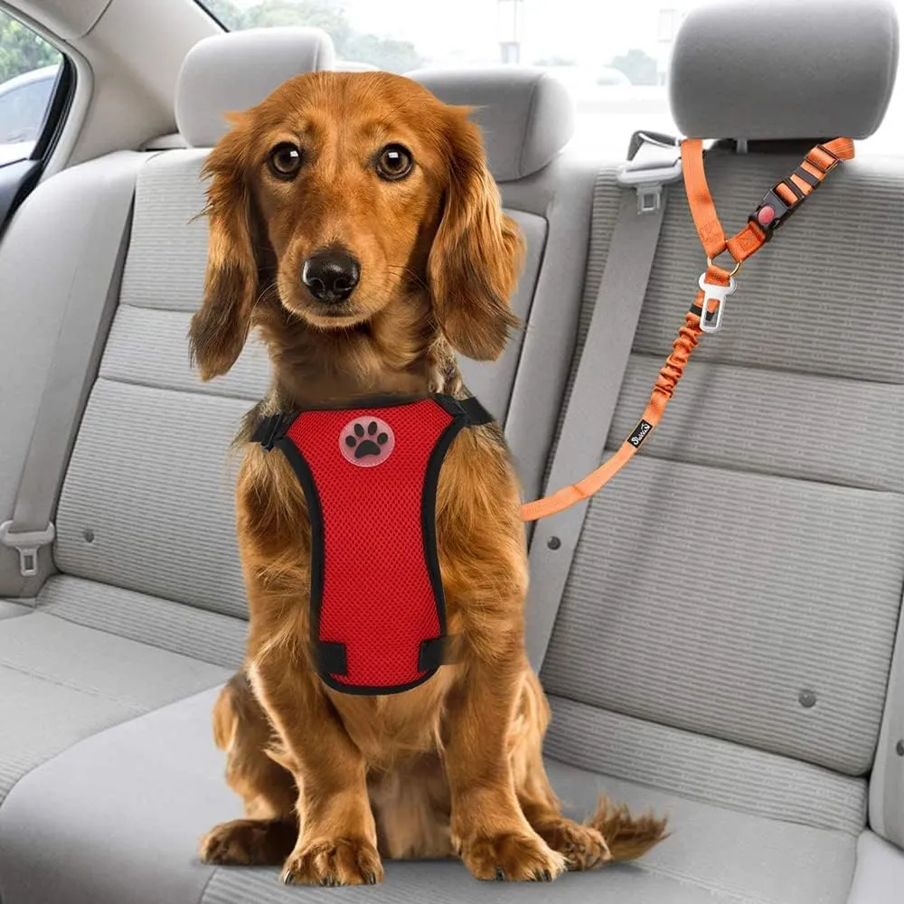 Lukovee Dog Car Seat Belt, 2 Pack Headrest Restraint Seatbelt, Adjustable Pet Safety Leads with Reflective Elastic Bungee for Dog Harness Collar Travel Daily Use (Orange,Headrest   Clip)