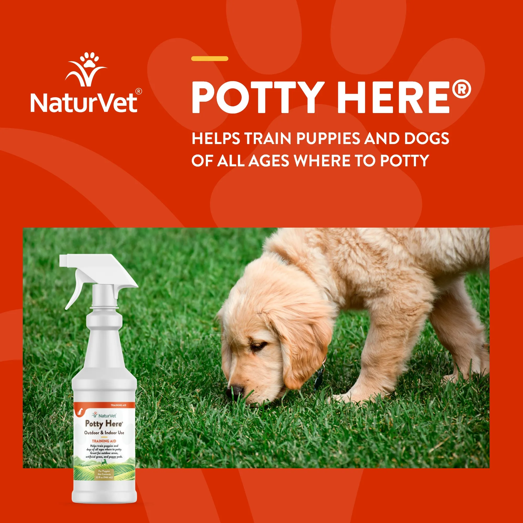 NaturVet Potty Here Training Aid Spray for Puppies and Dogs