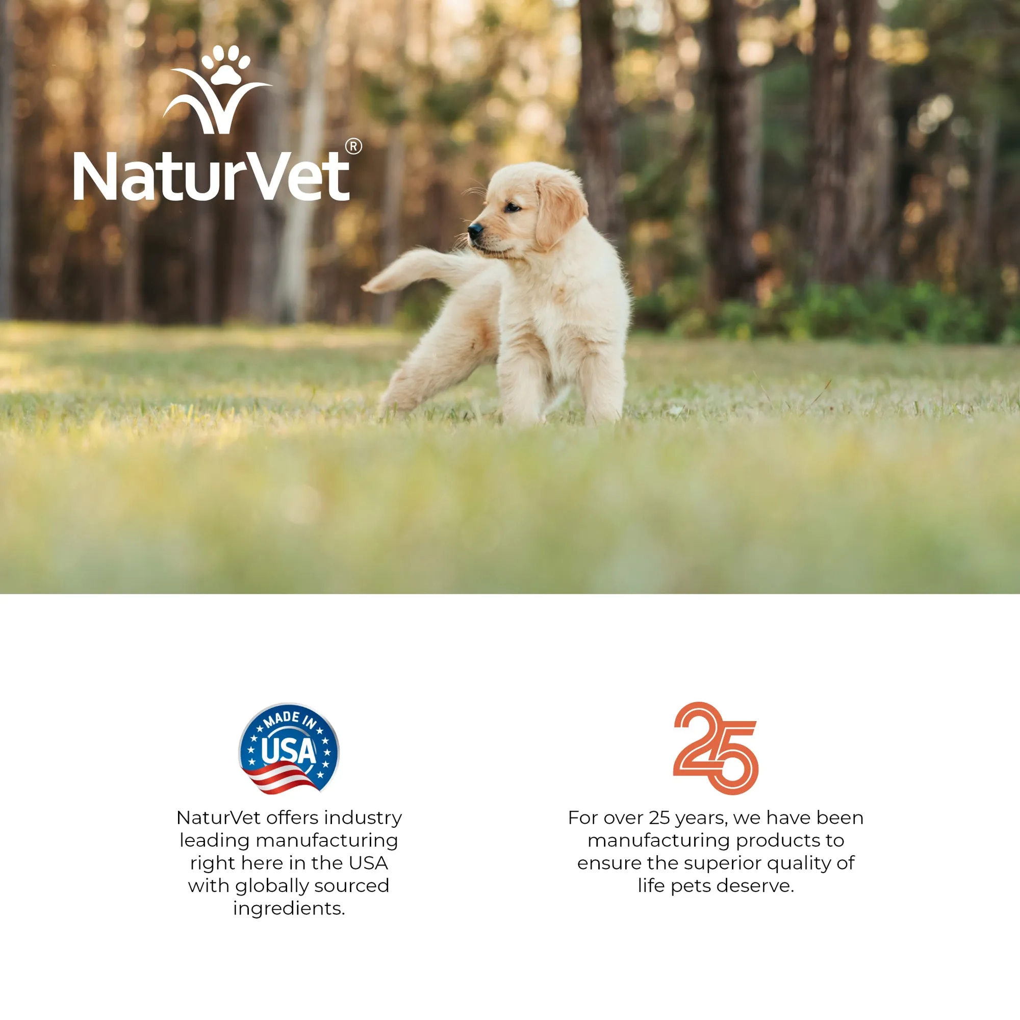 NaturVet Potty Here Training Aid Spray for Puppies and Dogs