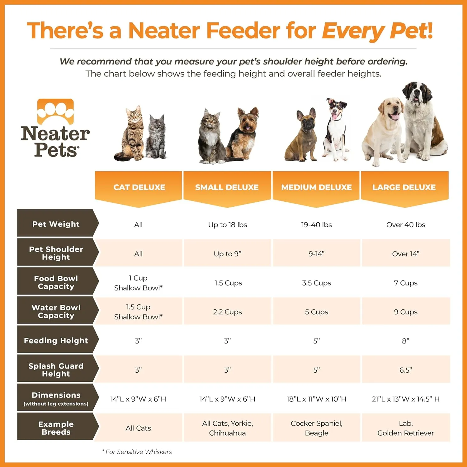 Neater Feeder Deluxe Mess Proof Dog Bowls Elevated for Small Breed  Made in USA  No Spill Raised Dog Food Bowl Stand  Stainless Steel Food and Water Bowl Set, Pet Feeding Station, Aquamarine