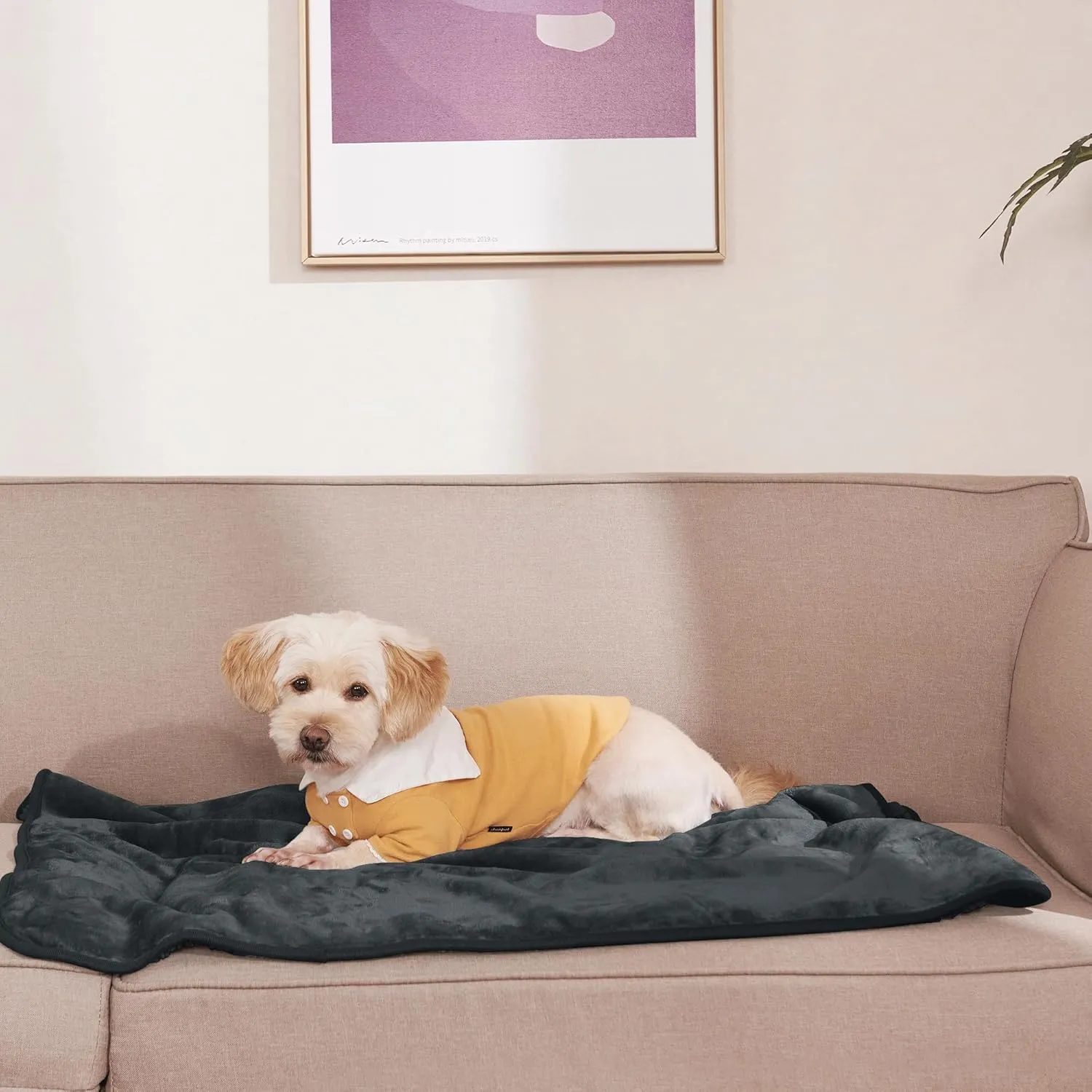 NICETOWN Dog Bed Covers Pads Puppy Pads Washable Mats for Dog Couch Protection Super Soft Pet Covers Reversible Sherpa Fleece Blanket for Large, Pet Lovers Present, 50" x 60", Grey