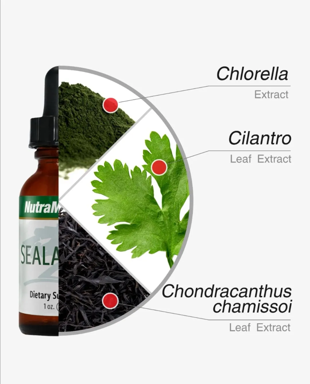 Nutramedix, SEALANTRO - Metal Detox