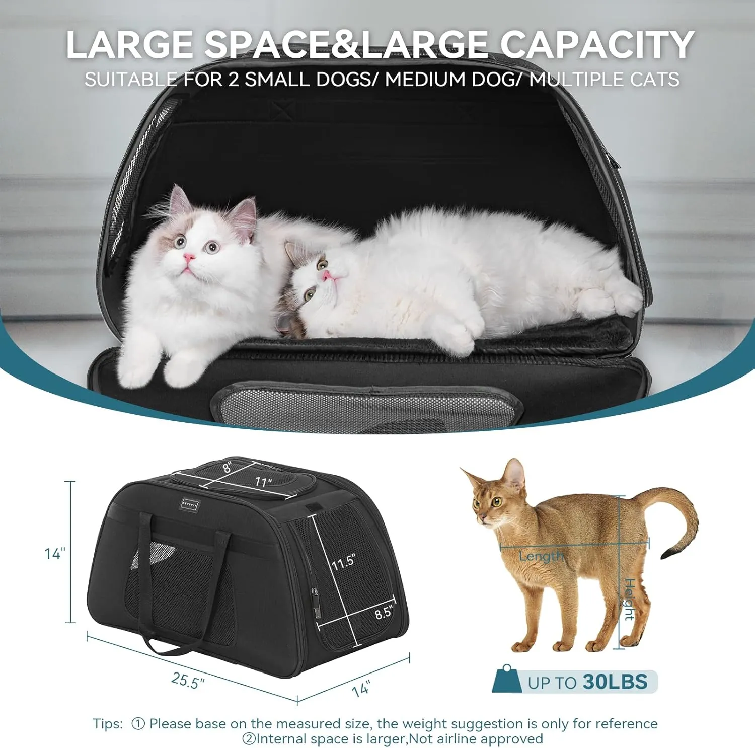 PETSFIT Extra Large Pet Carrier with Wheels- Rolling Dog Carrier for 2 Small Dogs, Large Cat Carrier on Wheels with Adjustable Safety Rope & Waterproof Bottom (  )