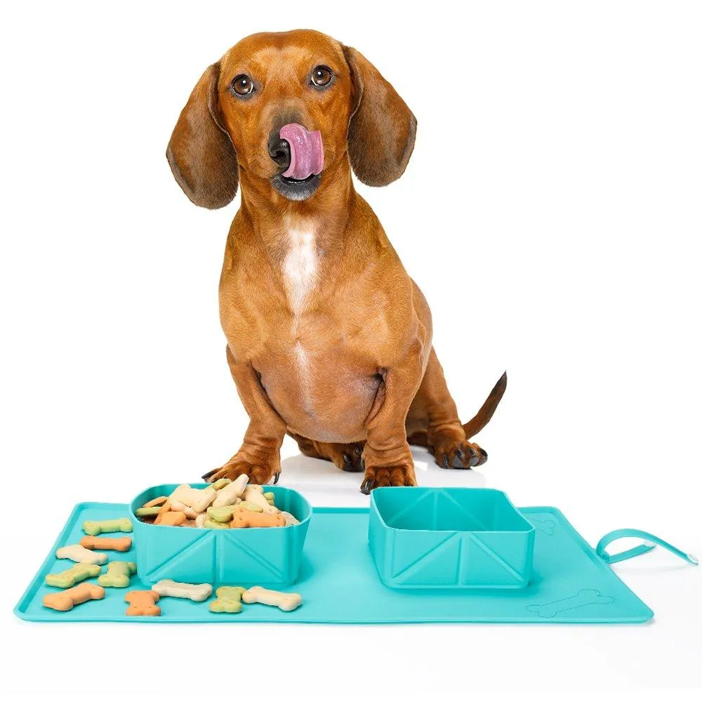 Portable Pet Food Bowls - Collapsible - 600ml Capacity