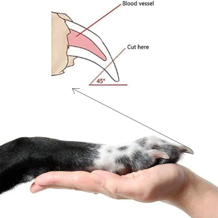 Stainless Steel Dog Nail Clippers