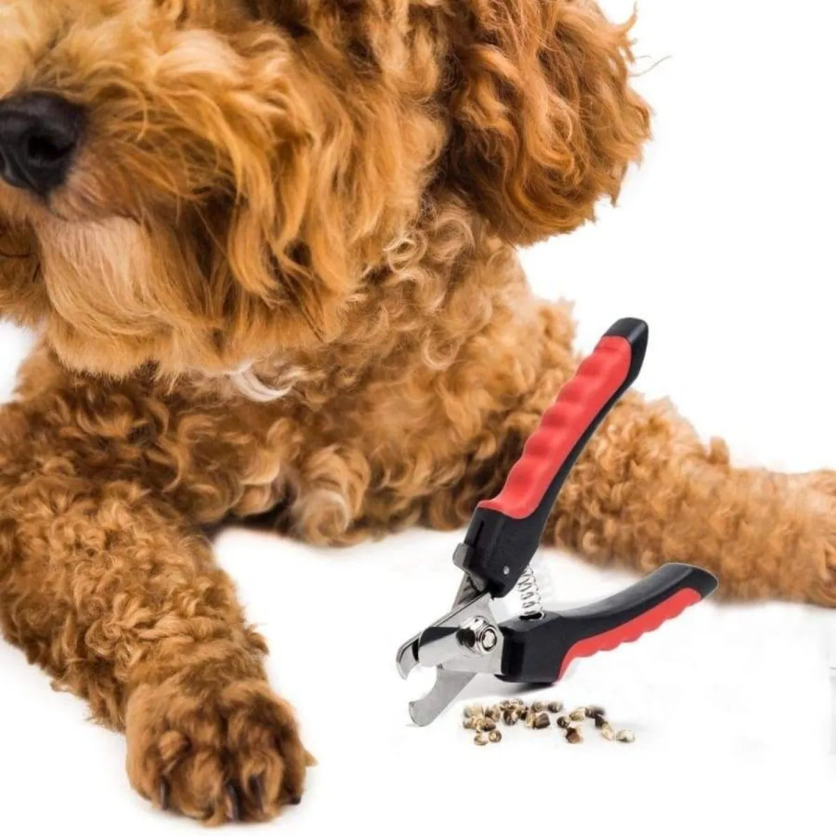 Stainless Steel Dog Nail Clippers