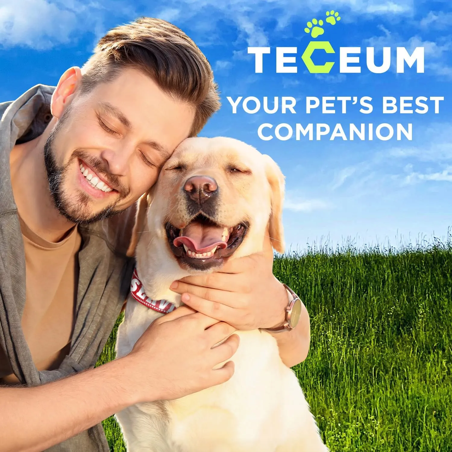TECEUM Reflective Pet Collar  Red - Service Dog  XL  Extra Soft Padding  Basic Nylon Dog Collar  Quick Release Buckle  Fits Small, Medium and Large Dogs, Puppies, Cats