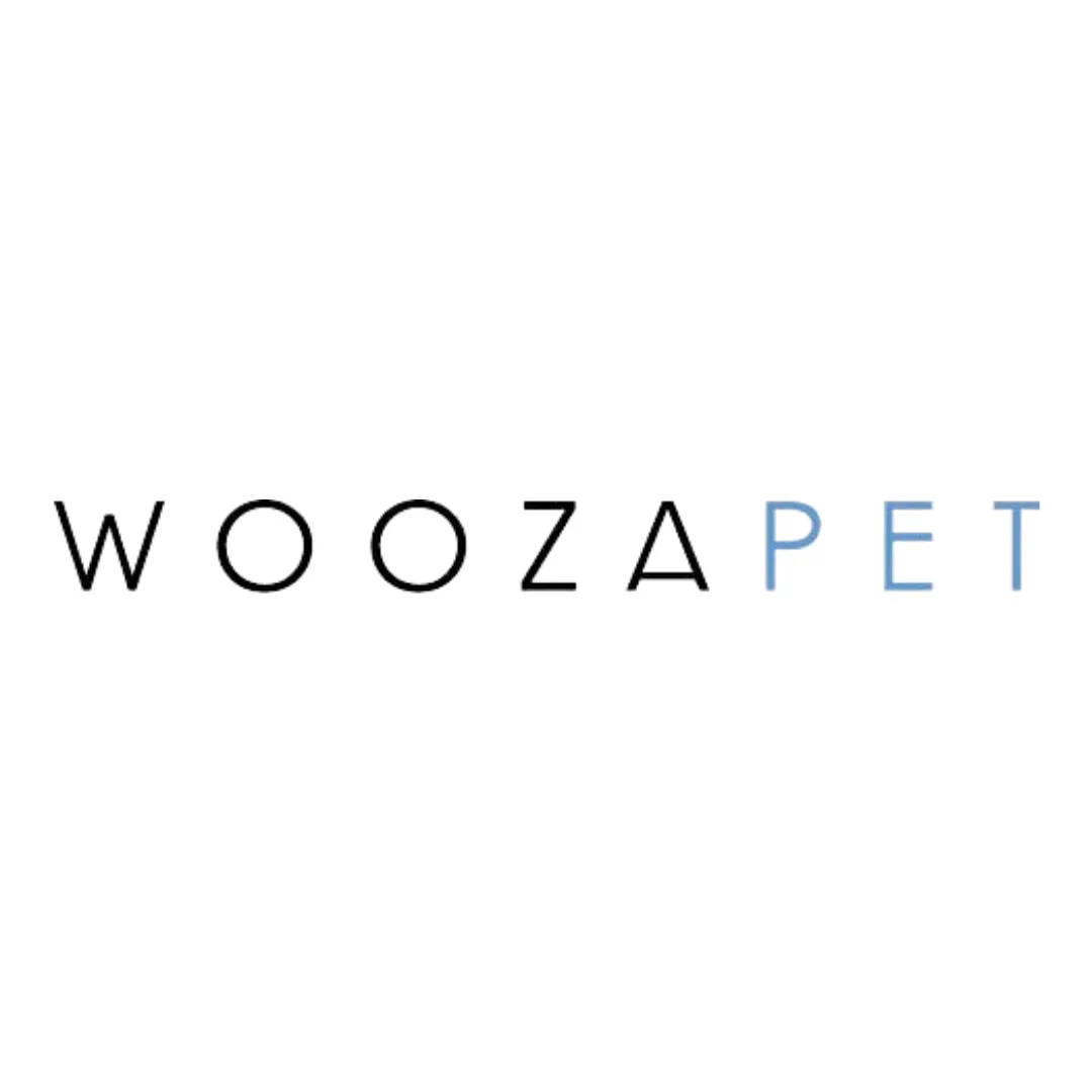 WOOZAPET Stainless Steel Bowls and Silicone Mat Bundle