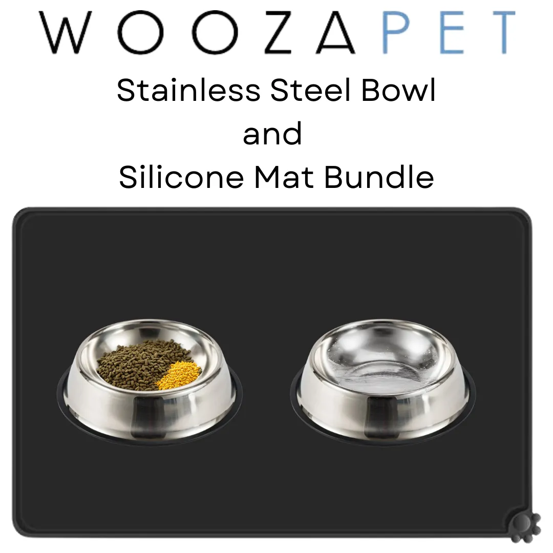 WOOZAPET Stainless Steel Bowls and Silicone Mat Bundle