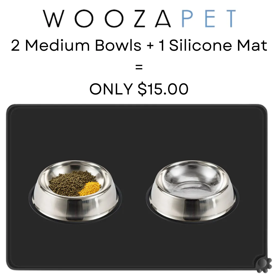 WOOZAPET Stainless Steel Bowls and Silicone Mat Bundle